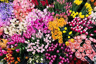 Xbox独占射击游戏《穿越火线X》5月停服 单人战役也受影响